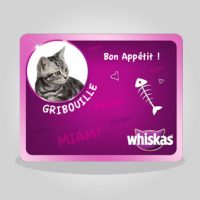 illus1-editions identite_chat_whiskas